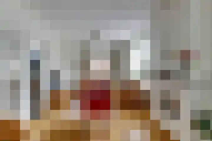 Waspiksedijk 3 Sprang-Capelle thumbnail 15