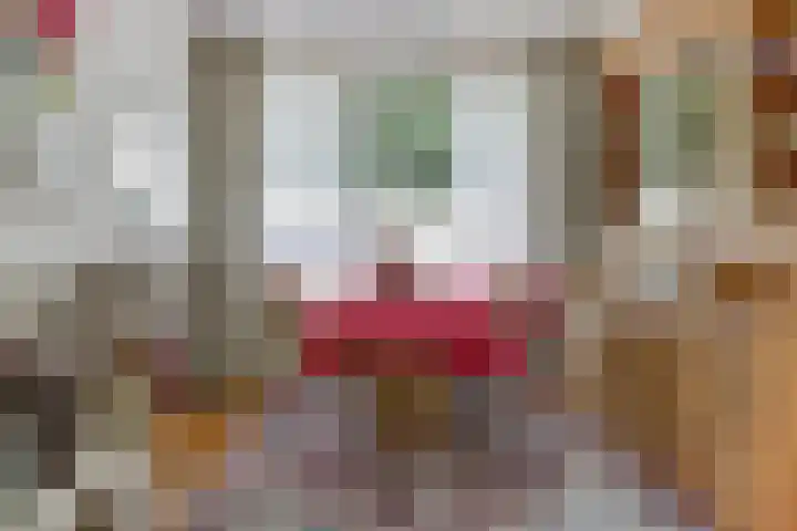 Waspiksedijk 3 Sprang-Capelle thumbnail 17