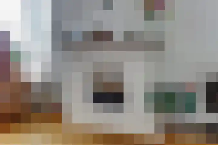 Waspiksedijk 3 Sprang-Capelle thumbnail 18
