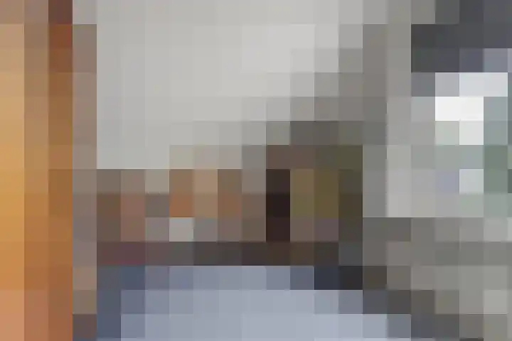 Waspiksedijk 3 Sprang-Capelle thumbnail 22
