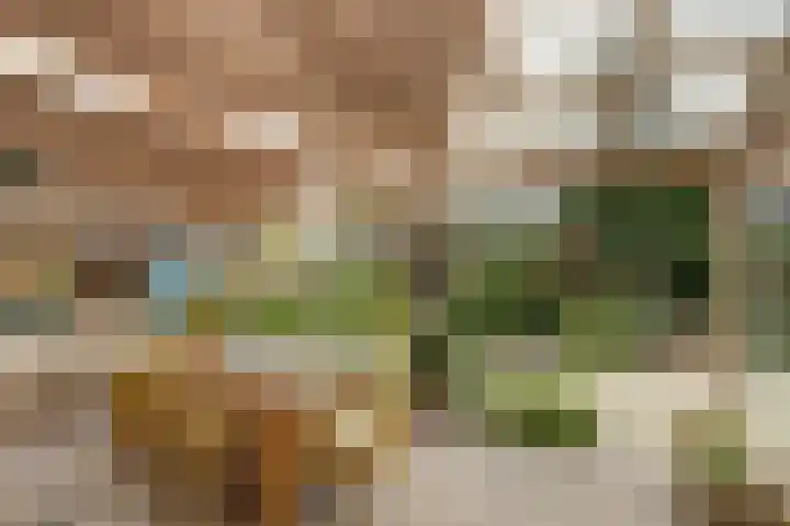Waspiksedijk 3 Sprang-Capelle thumbnail 31