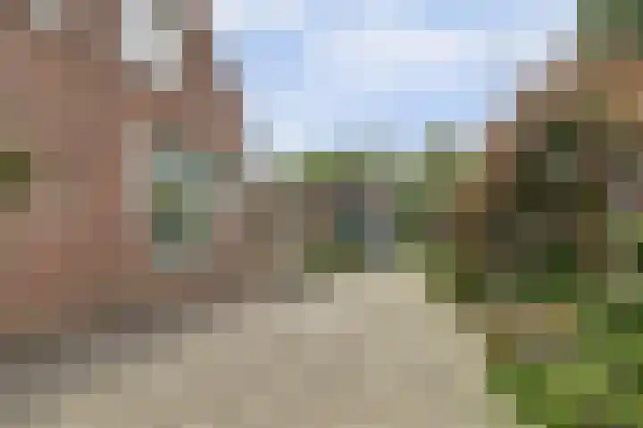 Waspiksedijk 3 Sprang-Capelle thumbnail 32