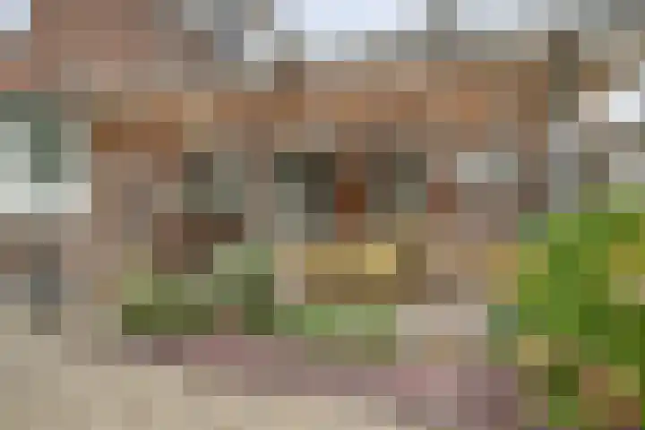 Waspiksedijk 3 Sprang-Capelle thumbnail 33