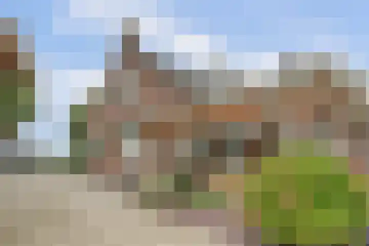 Waspiksedijk 3 Sprang-Capelle thumbnail 35