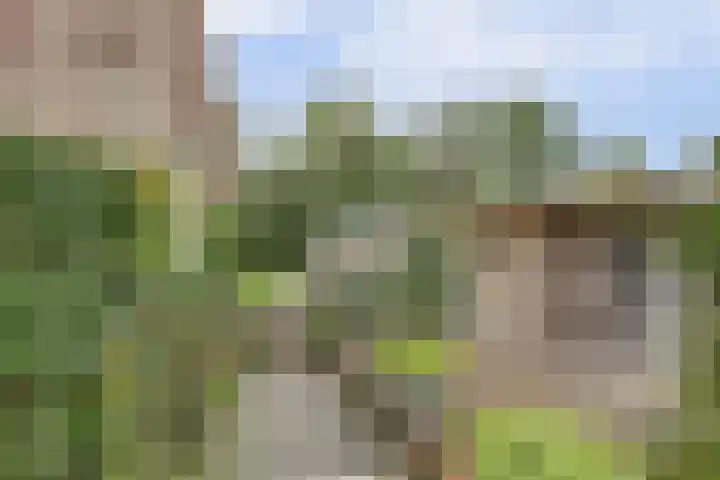 Waspiksedijk 3 Sprang-Capelle thumbnail 36