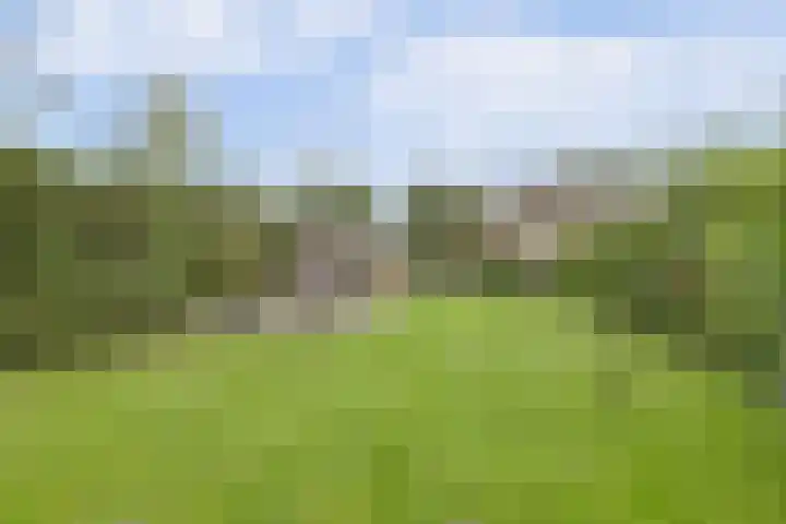 Waspiksedijk 3 Sprang-Capelle thumbnail 38