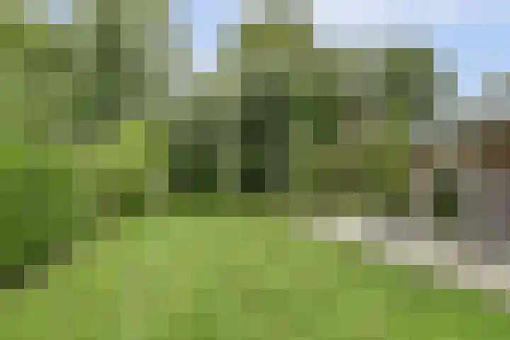 Waspiksedijk 3 Sprang-Capelle thumbnail 39