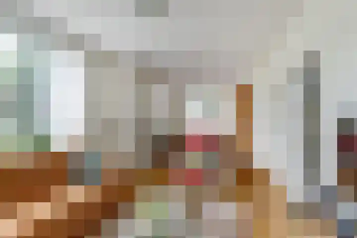 Waspiksedijk 3 Sprang-Capelle thumbnail 4