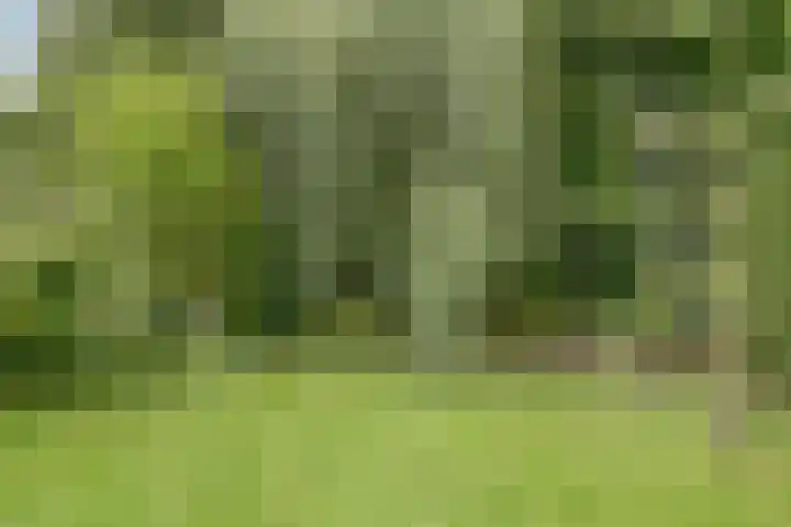 Waspiksedijk 3 Sprang-Capelle thumbnail 40