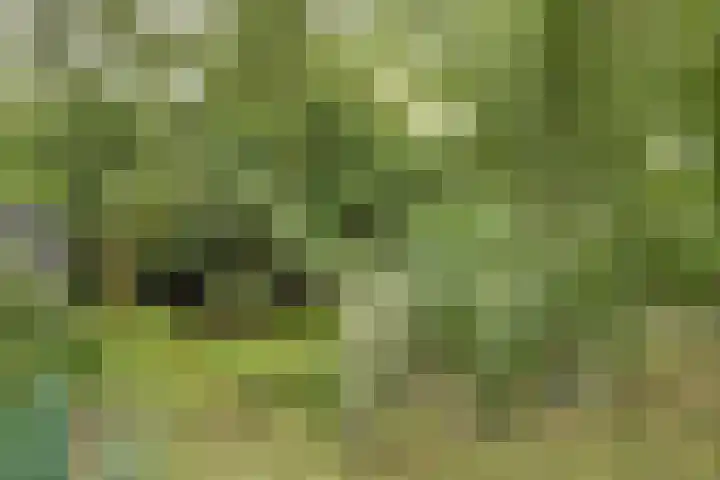 Waspiksedijk 3 Sprang-Capelle thumbnail 41