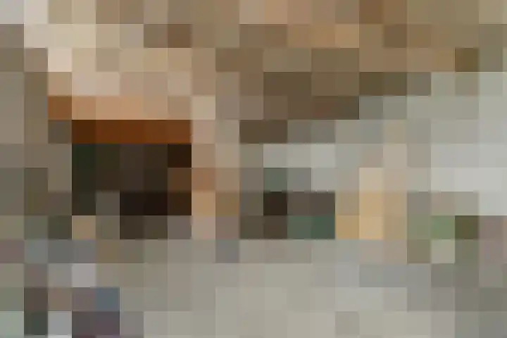 Waspiksedijk 3 Sprang-Capelle thumbnail 42