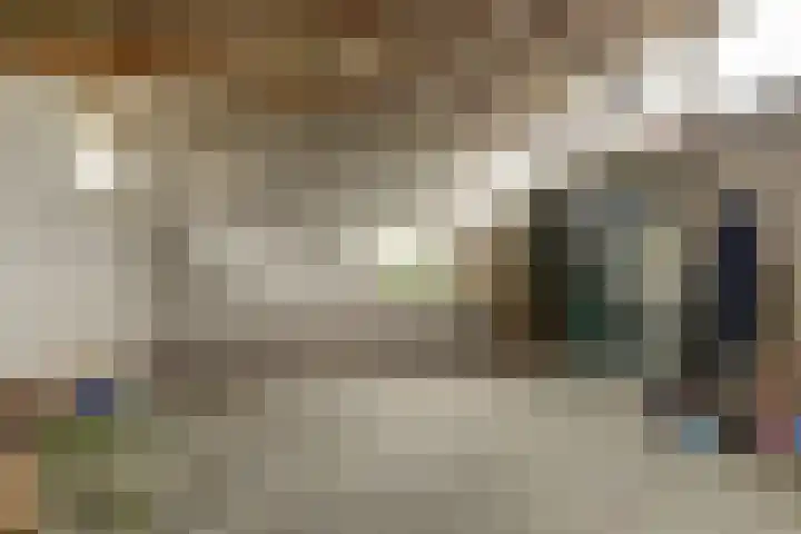 Waspiksedijk 3 Sprang-Capelle thumbnail 44
