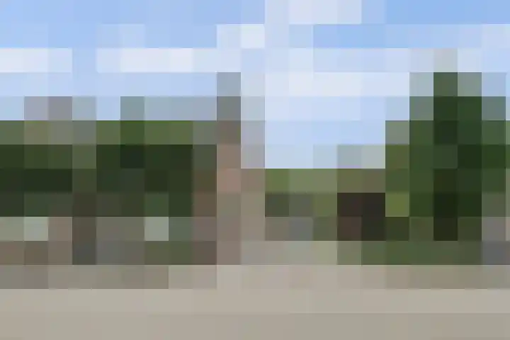 Waspiksedijk 3 Sprang-Capelle thumbnail 45
