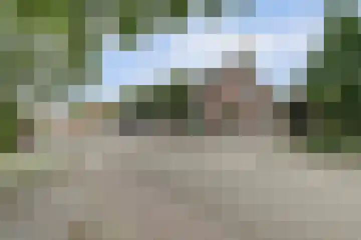 Waspiksedijk 3 Sprang-Capelle thumbnail 46