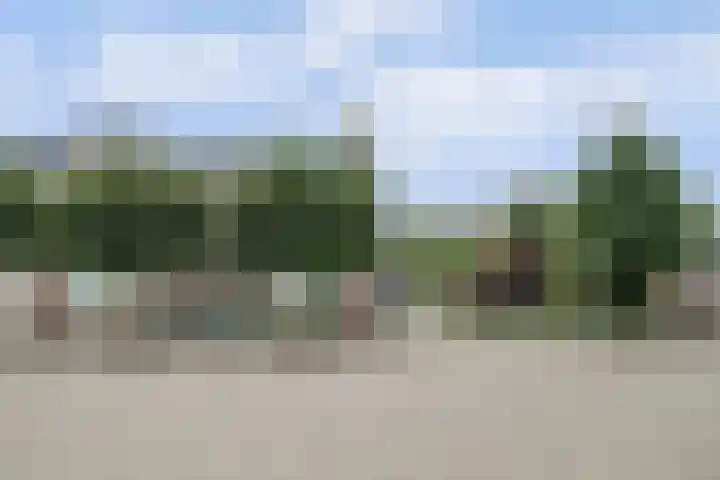 Waspiksedijk 3 Sprang-Capelle thumbnail 47