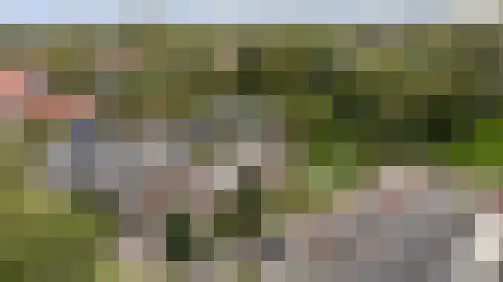 Waspiksedijk 3 Sprang-Capelle thumbnail 48