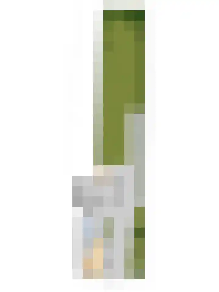 Waspiksedijk 3 Sprang-Capelle thumbnail 53