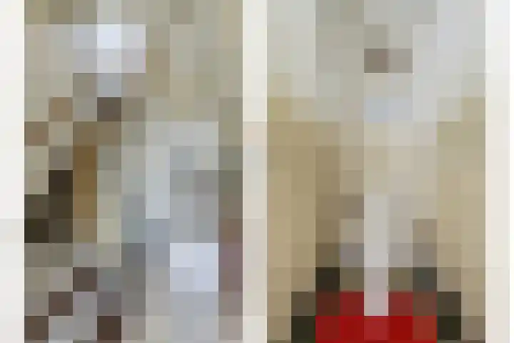 Waspiksedijk 3 Sprang-Capelle thumbnail 7