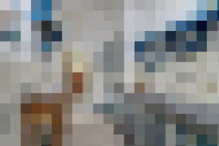 Waspiksedijk 3 Sprang-Capelle thumbnail 8