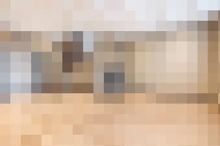 Waspiksedijk 5 Sprang-Capelle thumbnail 12