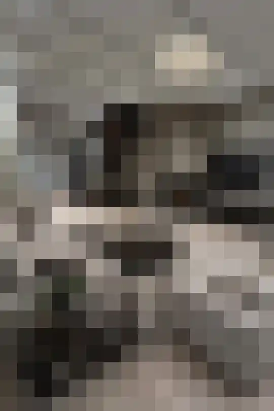 Waspiksedijk 5 Sprang-Capelle thumbnail 14