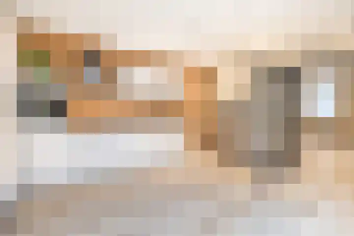 Waspiksedijk 5 Sprang-Capelle thumbnail 16