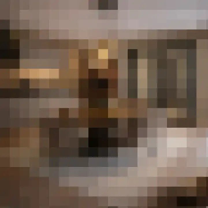 Waspiksedijk 5 Sprang-Capelle thumbnail 17