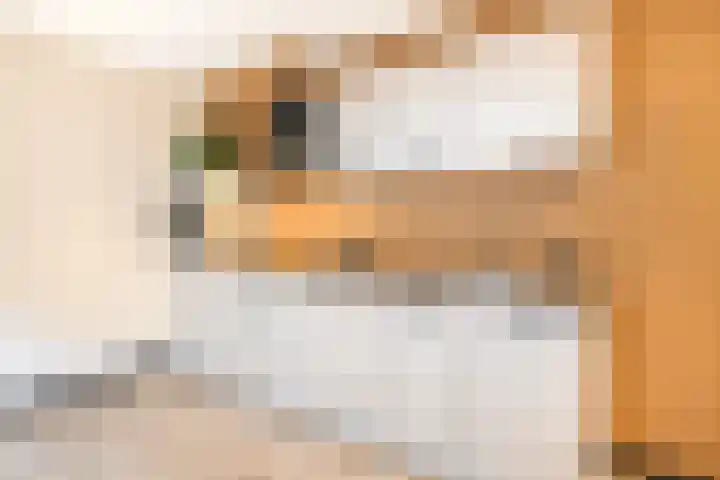 Waspiksedijk 5 Sprang-Capelle thumbnail 18