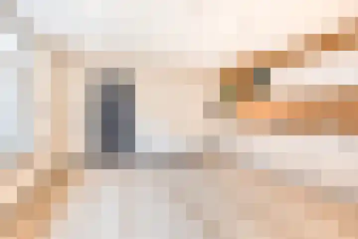 Waspiksedijk 5 Sprang-Capelle thumbnail 19