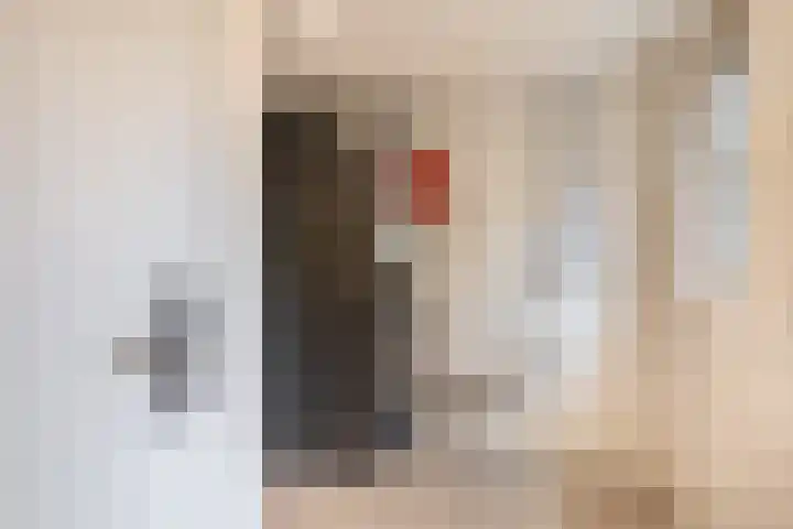 Waspiksedijk 5 Sprang-Capelle thumbnail 22