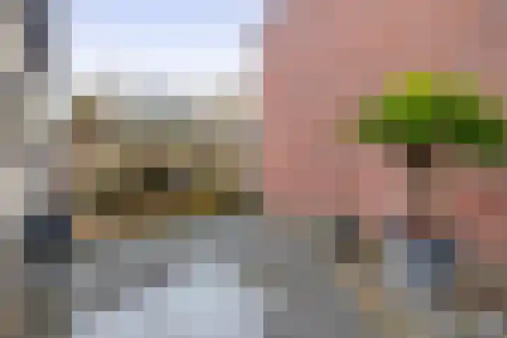 Waspiksedijk 5 Sprang-Capelle thumbnail 24