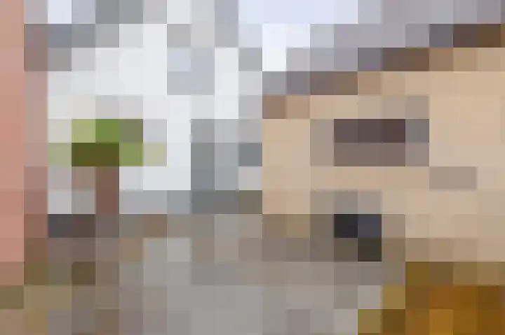 Waspiksedijk 5 Sprang-Capelle thumbnail 25