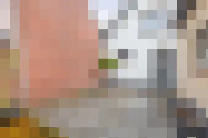 Waspiksedijk 5 Sprang-Capelle thumbnail 26