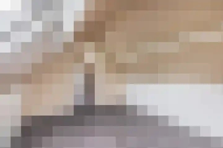 Waspiksedijk 5 Sprang-Capelle thumbnail 30