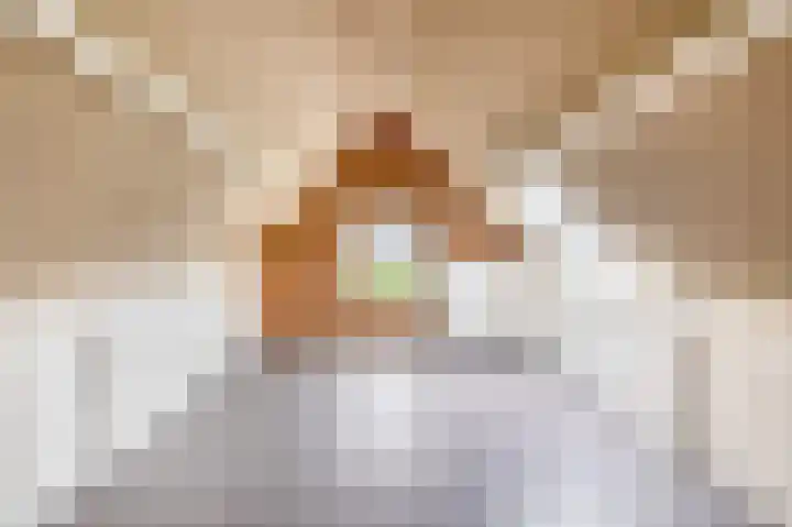 Waspiksedijk 5 Sprang-Capelle thumbnail 31
