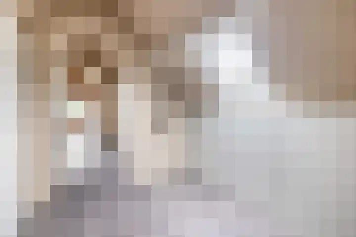 Waspiksedijk 5 Sprang-Capelle thumbnail 33