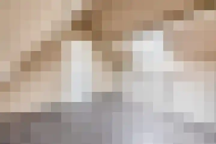 Waspiksedijk 5 Sprang-Capelle thumbnail 36