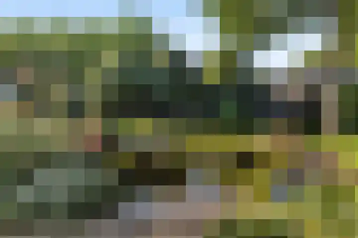 Wassenaar van Obdampark 22 Hendrik-Ido-Ambacht thumbnail 5