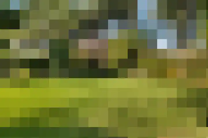 Wassenaar van Obdampark 22 Hendrik-Ido-Ambacht thumbnail 6
