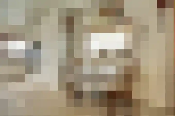 Wassenaarsestraat 14 Abbenbroek thumbnail 10