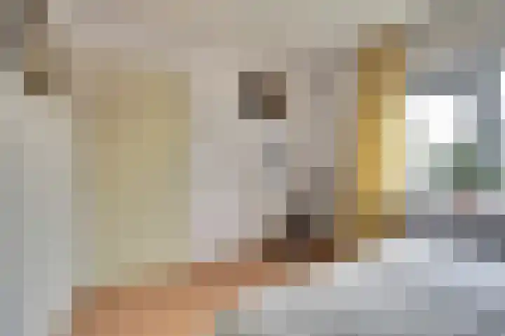 Wassenaarsestraat 14 Abbenbroek thumbnail 16