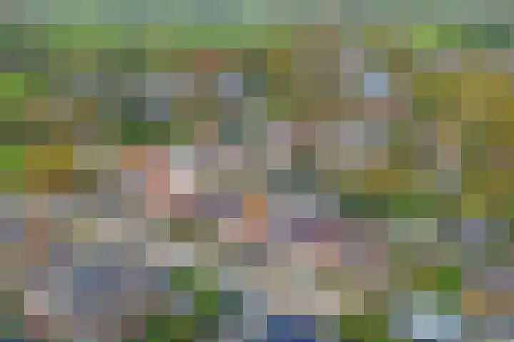 Wassenaarsestraat 14 Abbenbroek thumbnail 27