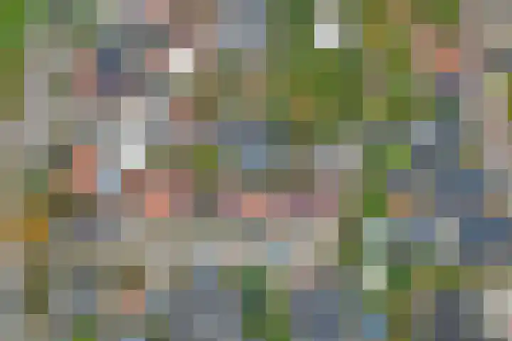Wassenaarsestraat 14 Abbenbroek thumbnail 29