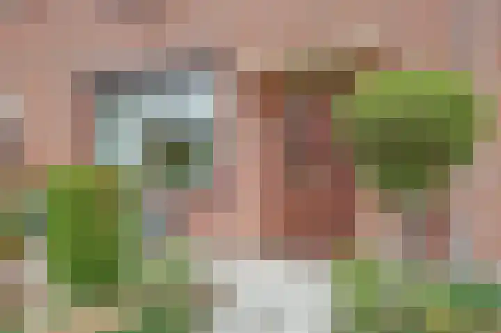 Wassenaarsestraat 14 Abbenbroek thumbnail 6