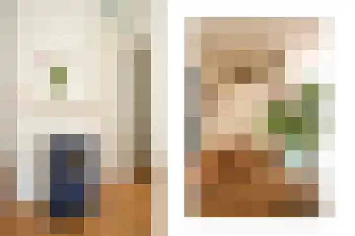Wassenaarsestraat 96 Den Haag thumbnail 19
