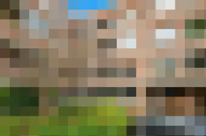 Wassenaarseweg 116 Den Haag