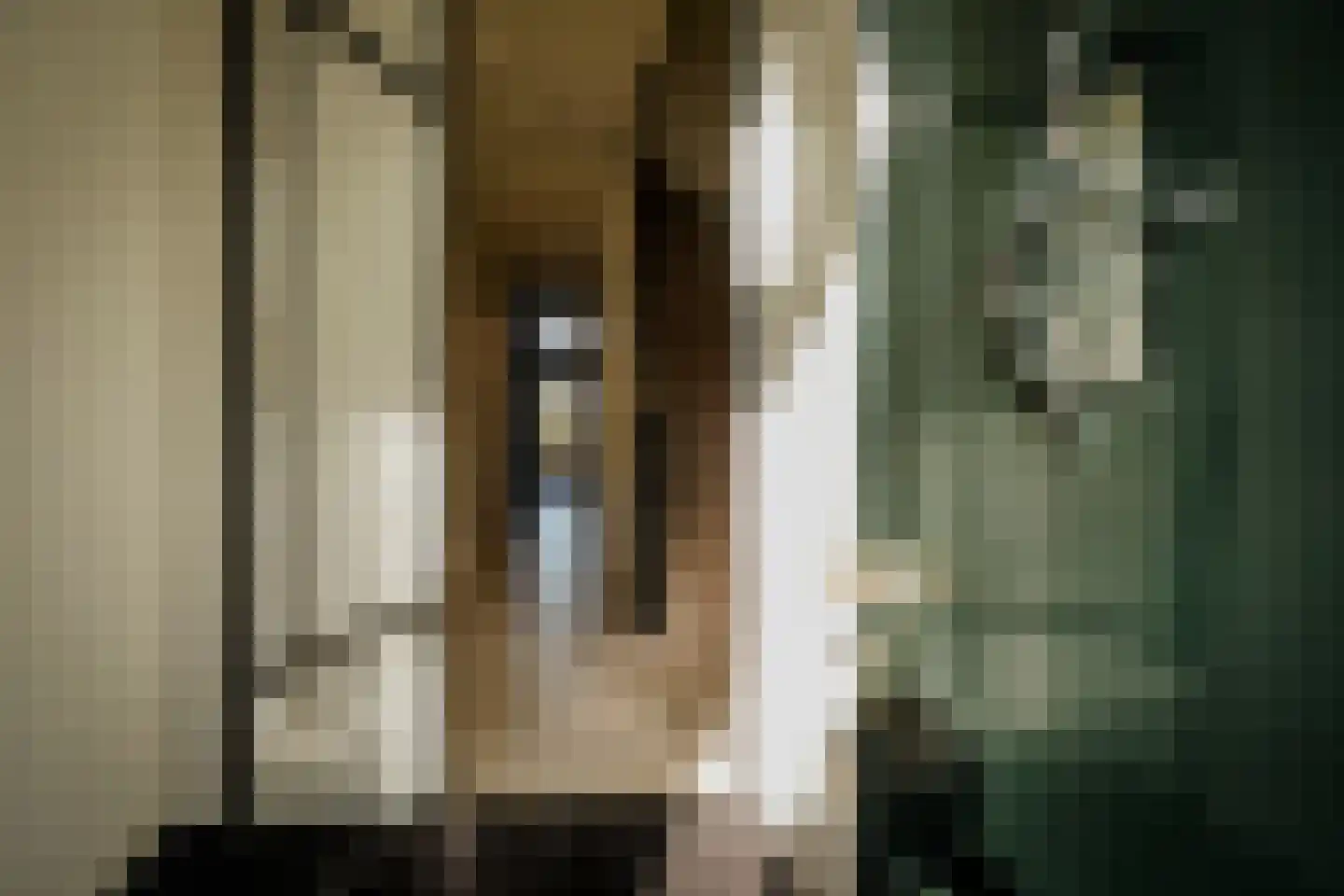 Wassenaarseweg 12 Den Haag thumbnail 7