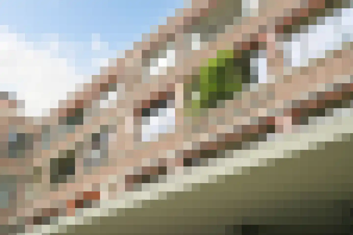 Wassenaarseweg 144 Den Haag thumbnail 29