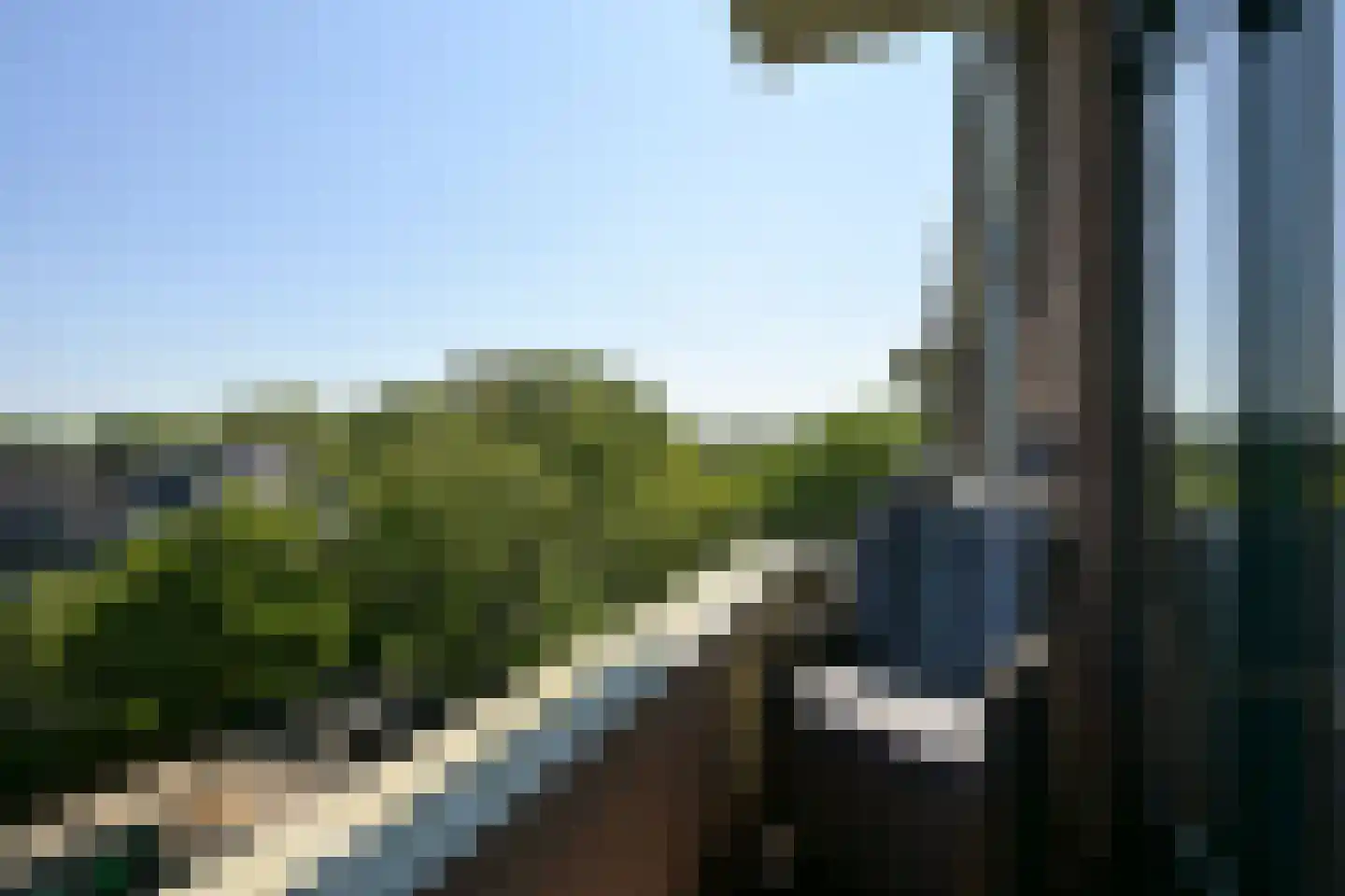 Wassenaarseweg 154 Den Haag thumbnail 18