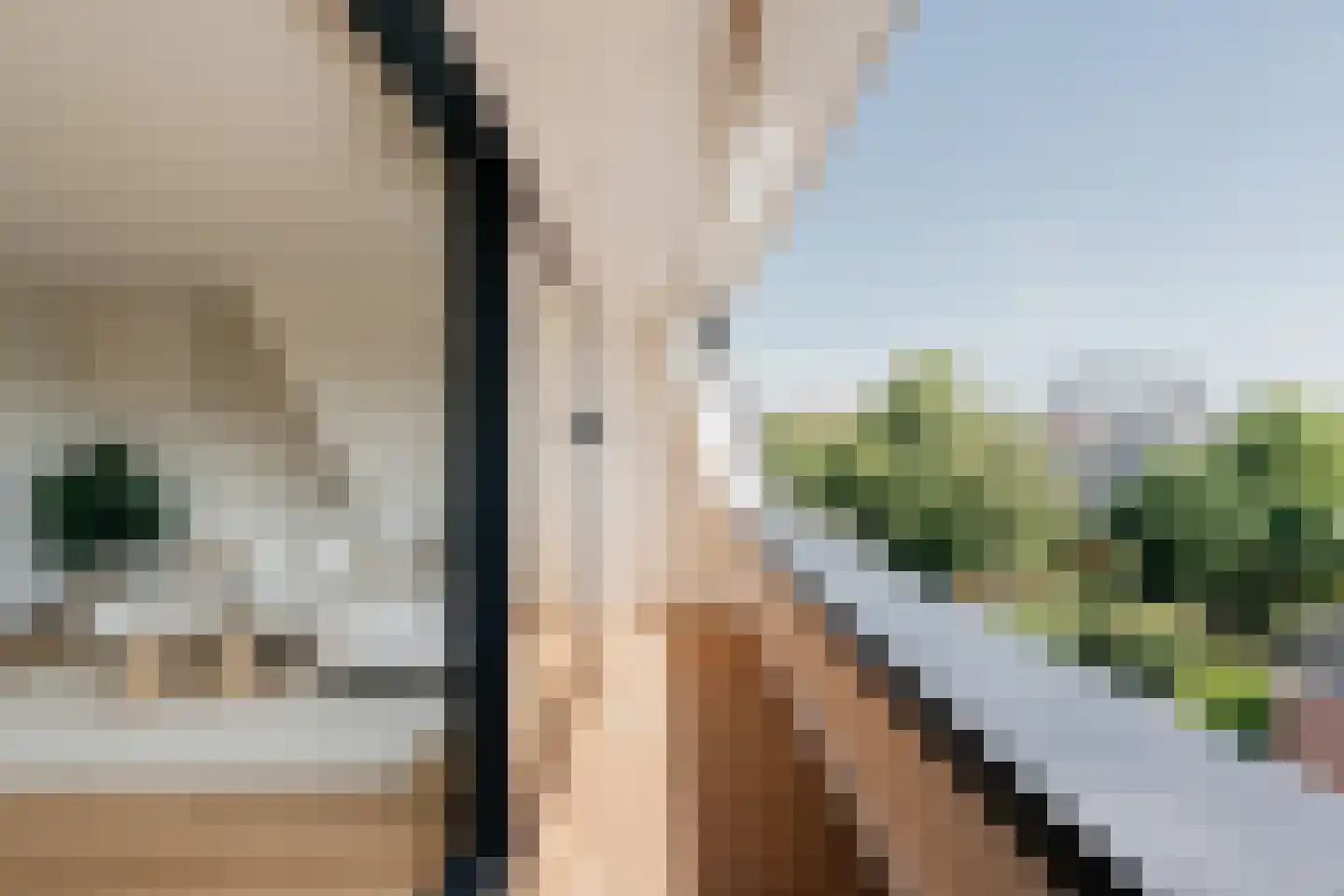 Wassenaarseweg 2 f Den Haag thumbnail 15